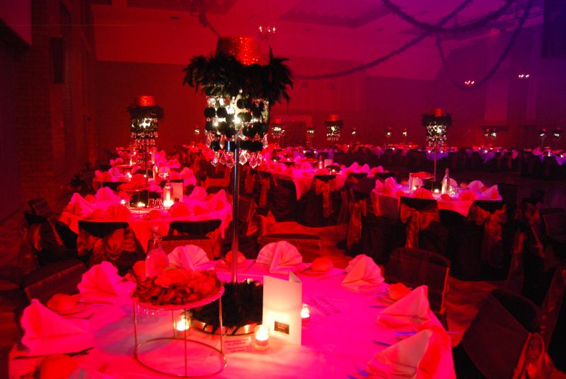 themed debutante ball geelong chicago musical dancers feather boas igby deb (7)